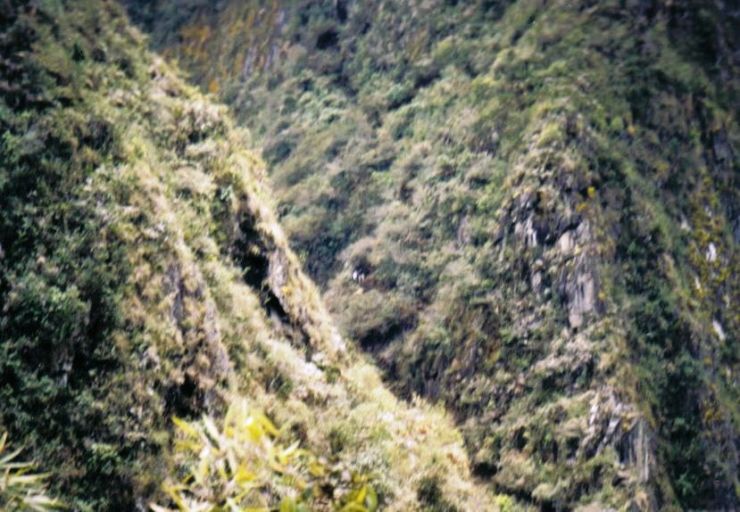 Macchu Picchu 05
