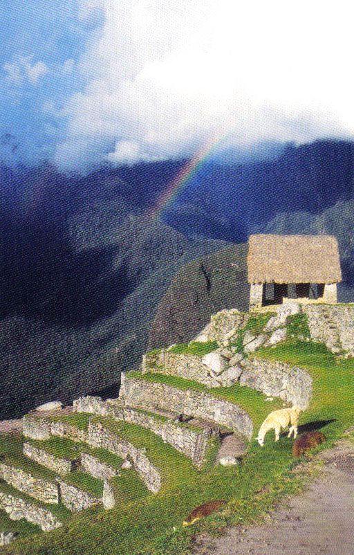 Macchu Picchu 12