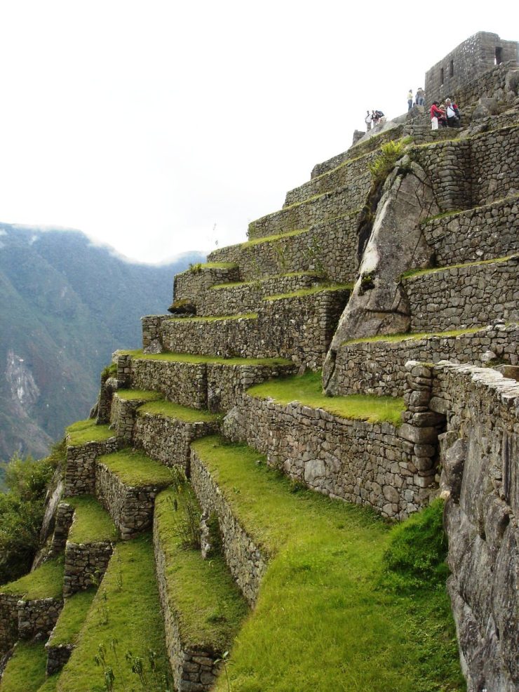 Macchu Picchu 50