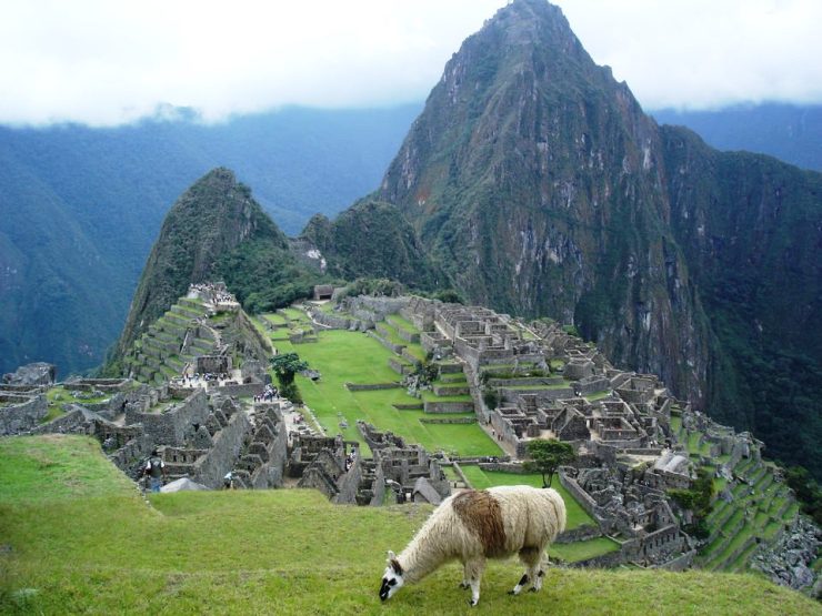 Macchu Picchu 75