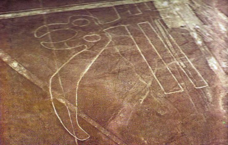 Nasca 21