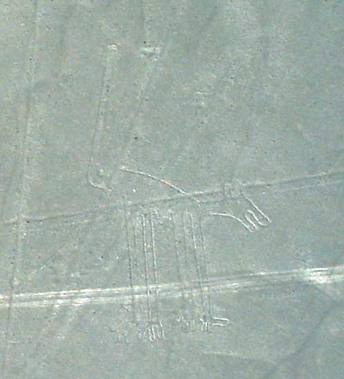 Nasca 31