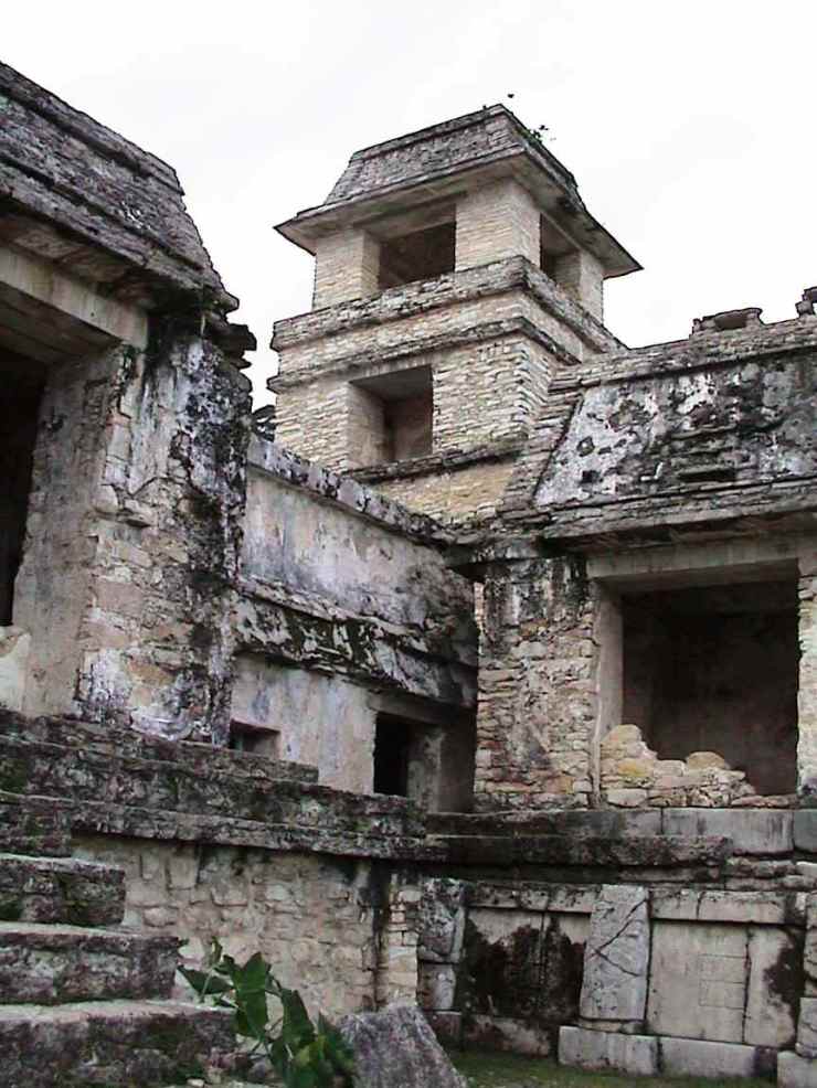 Palenque 41