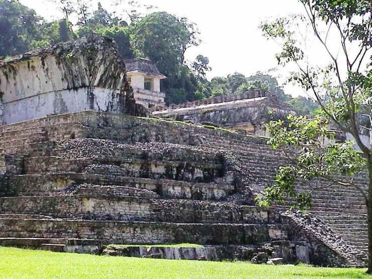 Palenque 44