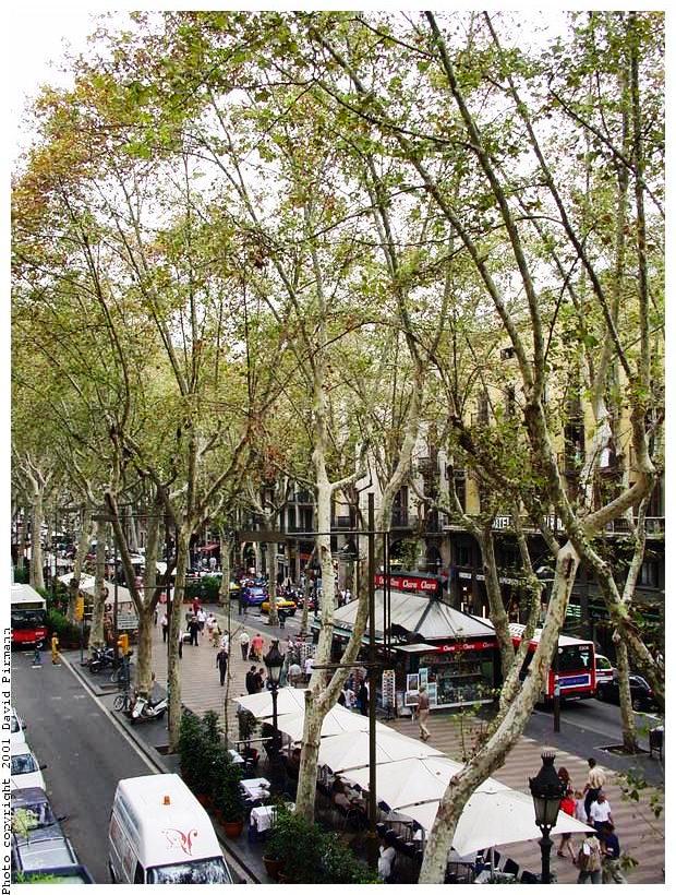 Ramblas 02