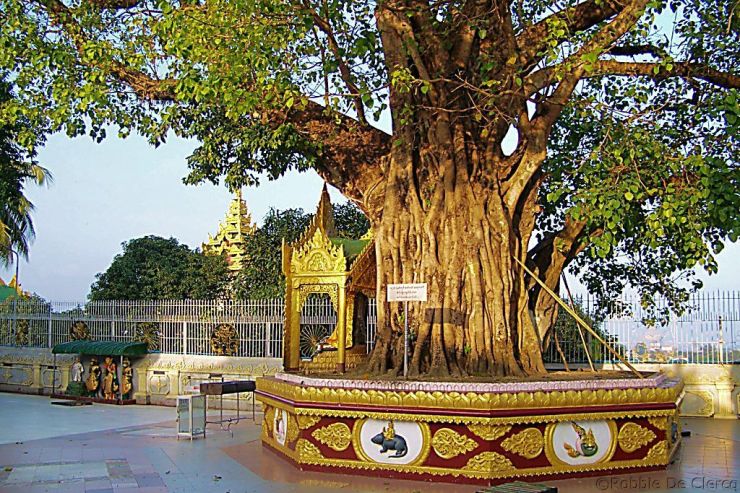 Shwedagon-pagode (3)
