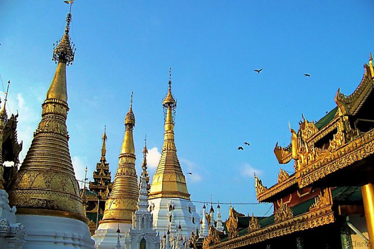 Shwedagon-pagode (6)