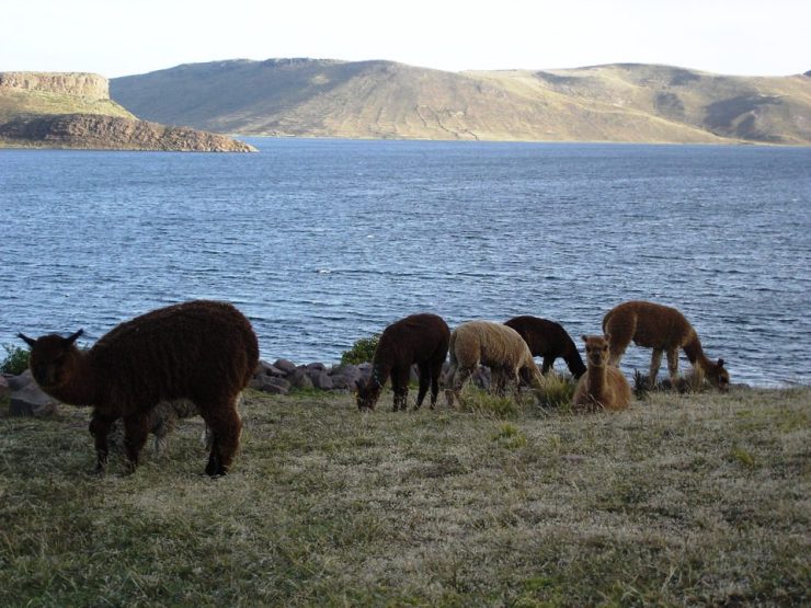 Sillustani 17