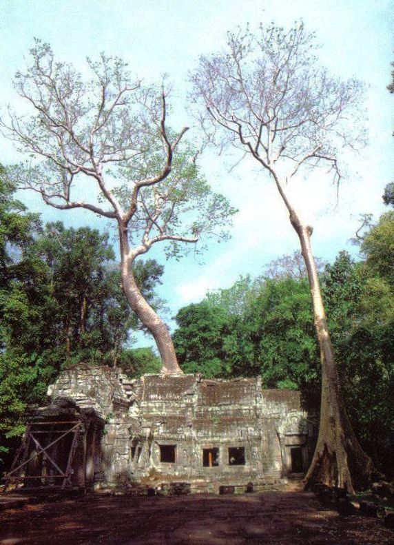 Ta Phrom 08