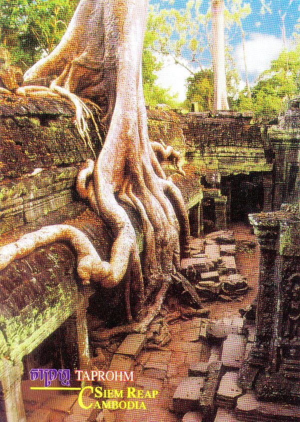 Ta Phrom 10