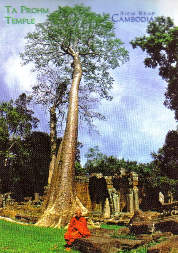 Ta Phrom 13