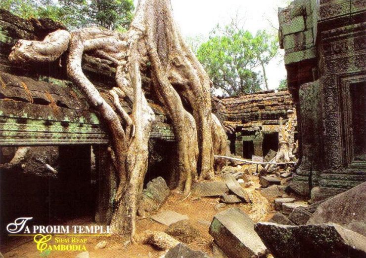 Ta Phrom 19