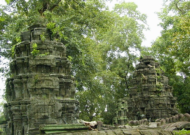 Ta Phrom 24