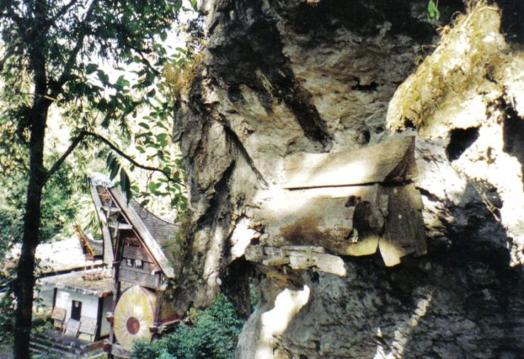 Tana Toraja 15 (hangende graven)