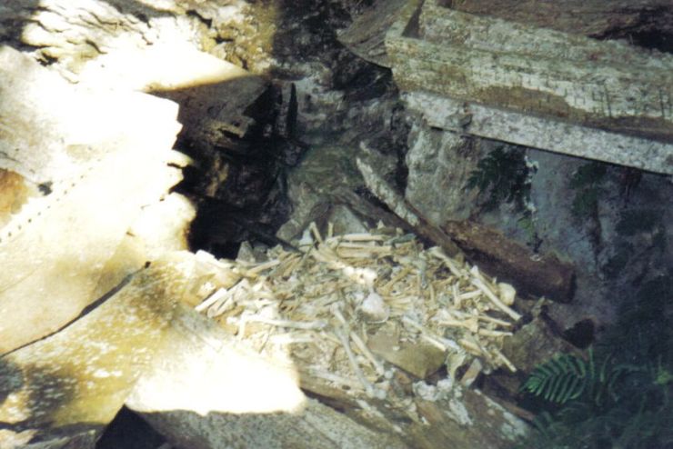 Tana Toraja 16 (hangende graven)