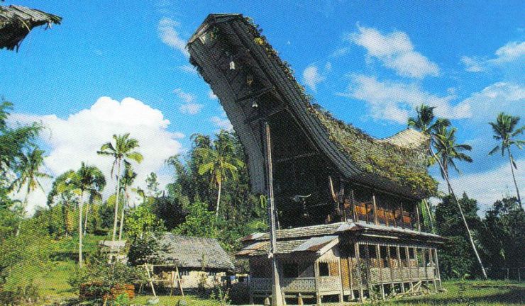 Tana Toraja 21 (traditioneel dorp)