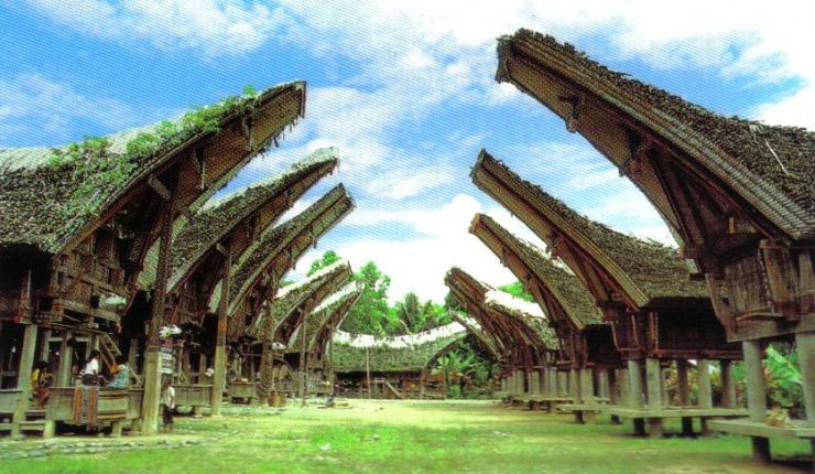 Tana Toraja 22 (traditioneel dorp)