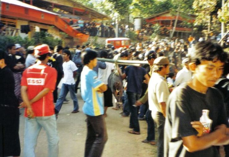 Tana Toraja 48 (begrafenisceremonie)