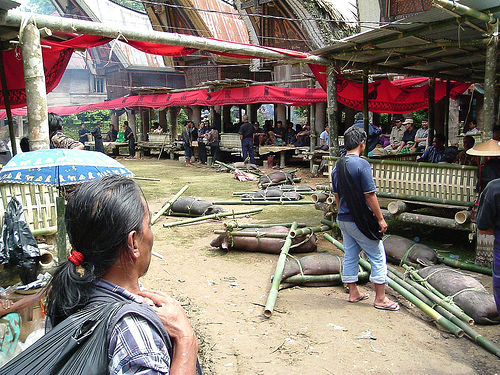 Tana Toraja 55 (begrafenisceremonie)