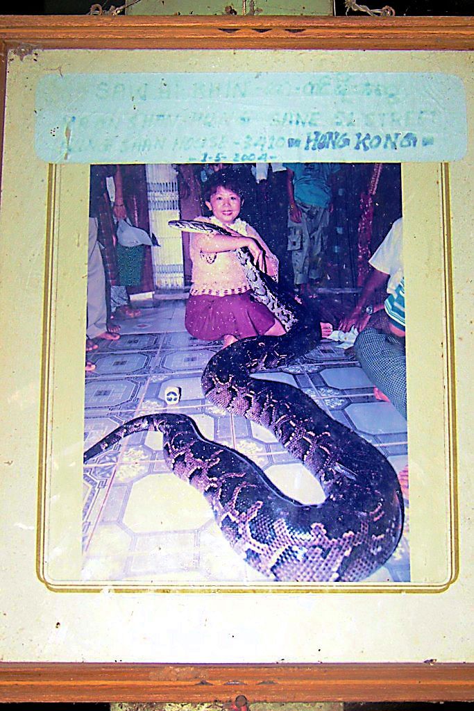 Tempel van de Pythons (5)