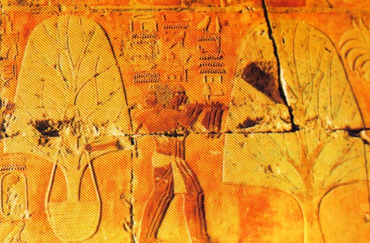 Tempel van Hatsjepsoet 18