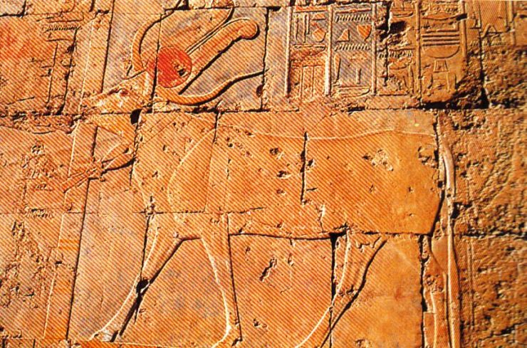 Tempel van Hatsjepsoet 19