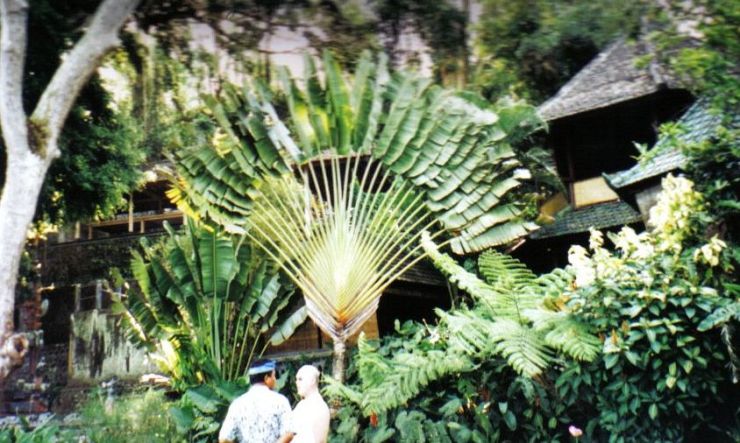 Tirtagangga 04 (waterpaleis)