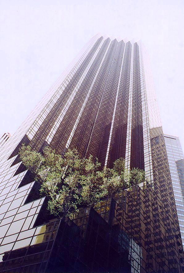 Trump Tower 01