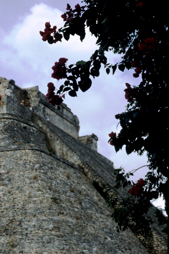 Uxmal 44
