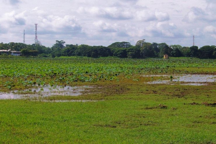 Anuradhapura (2)