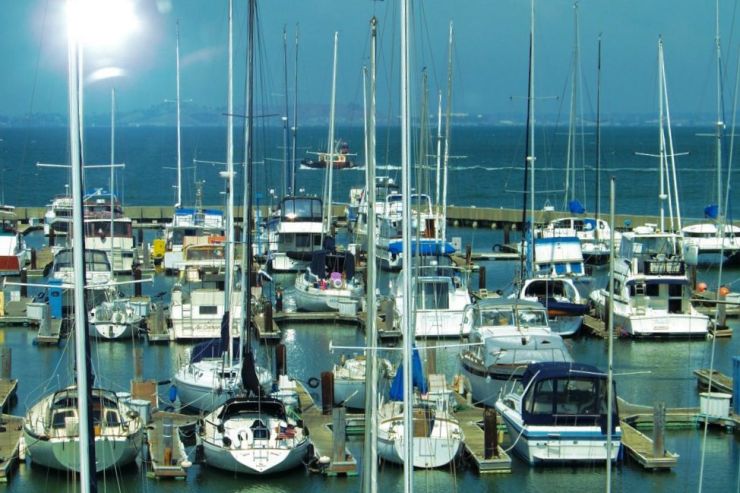 Aquarium of the Bay (16)