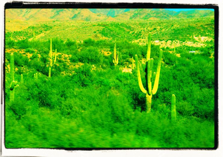 Arizona desert (2)