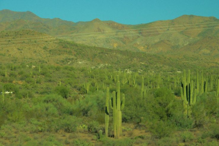 Arizona desert (3)