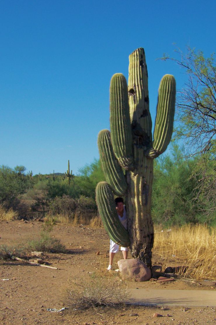 Arizona desert (5)