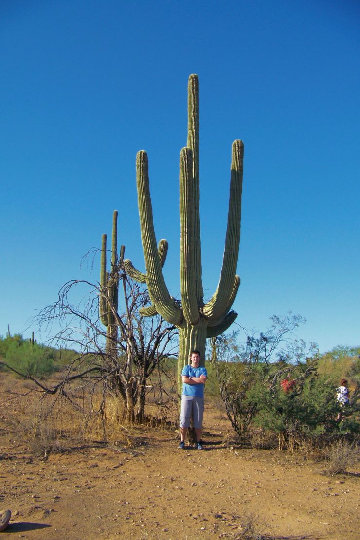 Arizona desert (6)