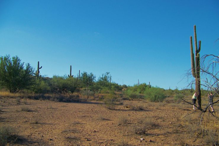 Arizona desert (7)