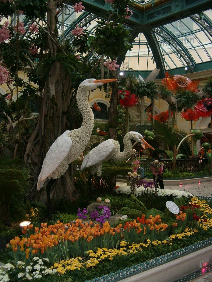Bellagio 17