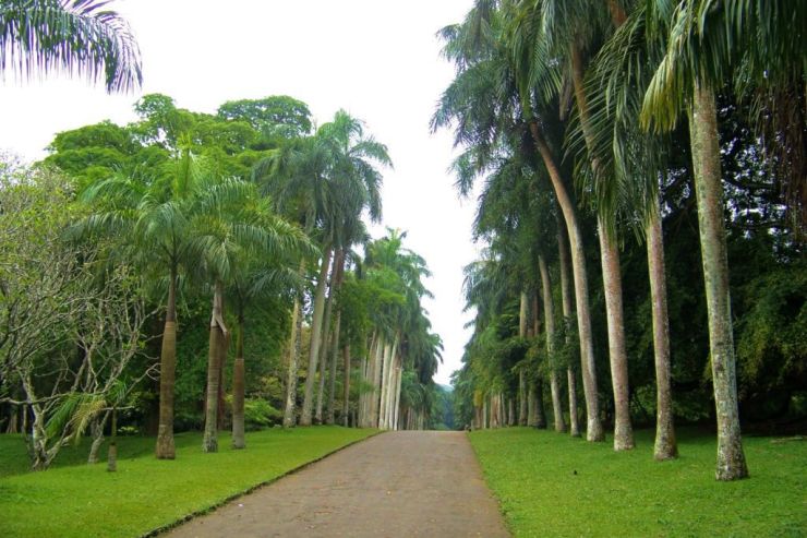 Botanische tuin (16)