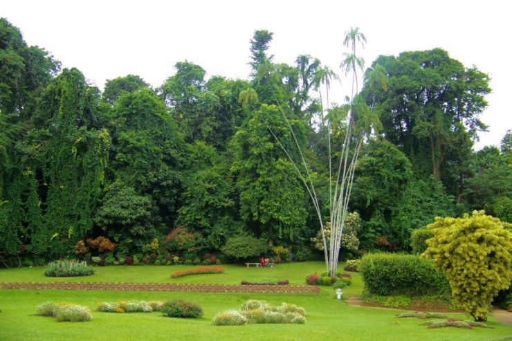 Botanische tuin (24)