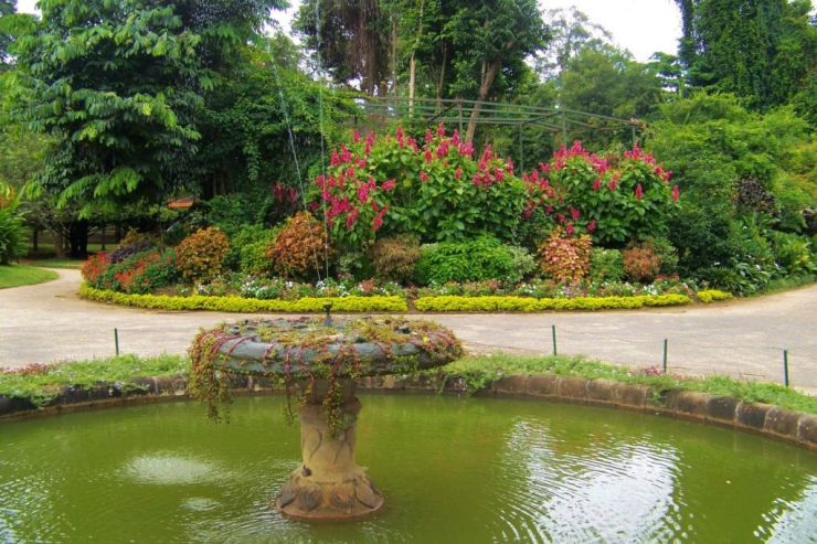 Botanische tuin (25)