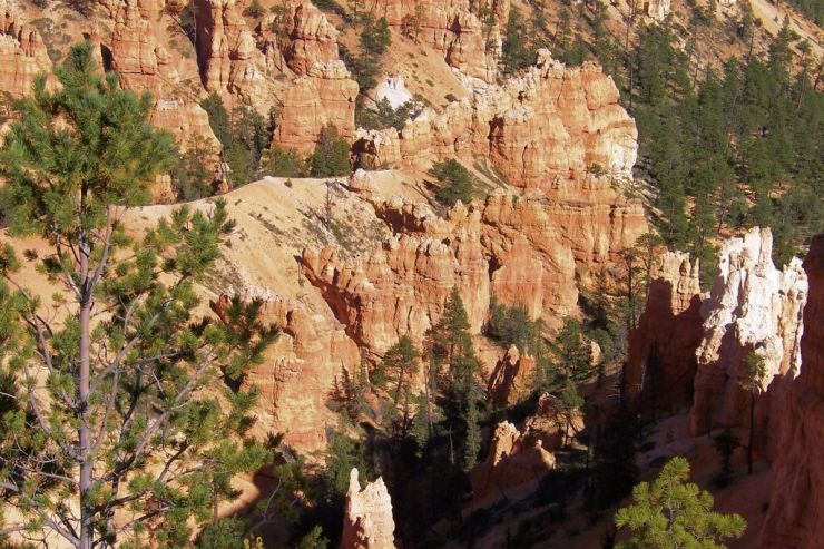 Bryce Canyon NP 05