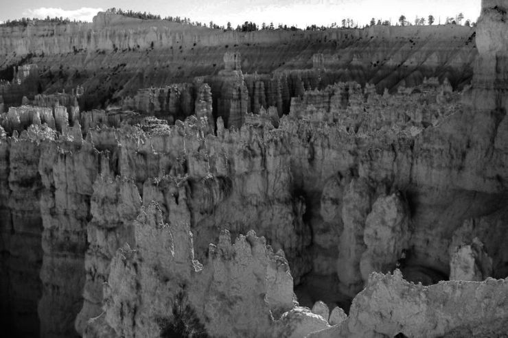 Bryce Canyon NP 15