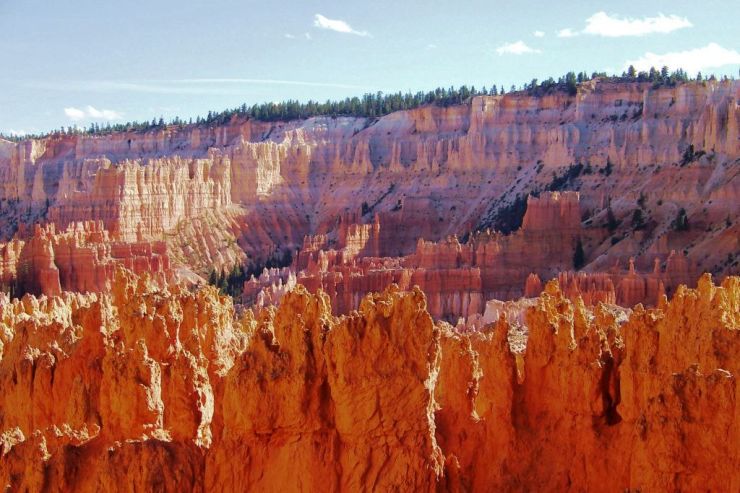 Bryce Canyon NP 31