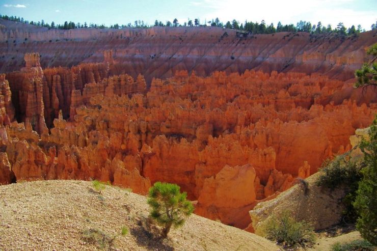 Bryce Canyon NP 35