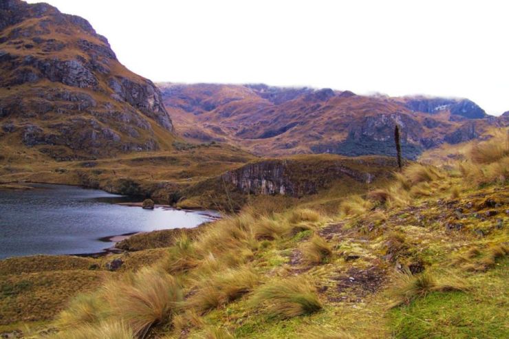 Cajas NP 03