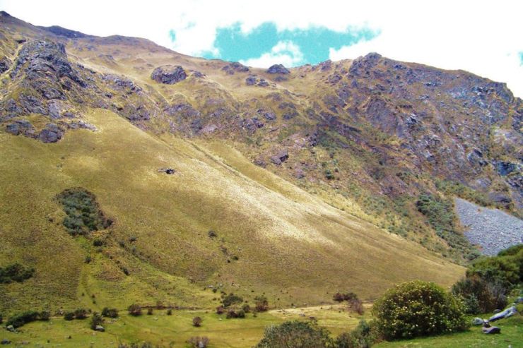 Cajas NP 36