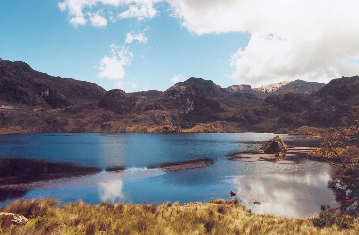 Cajas NP 49