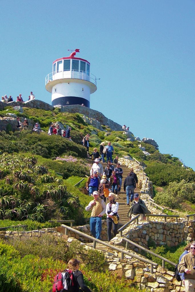 Cape of Good Hope NP 11