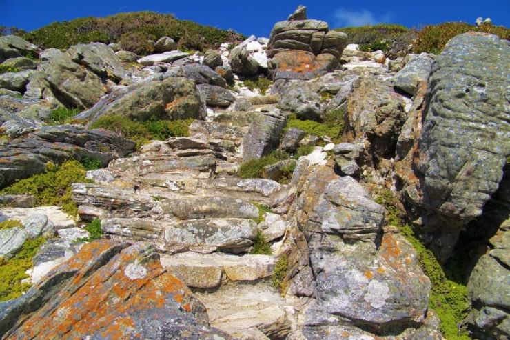 Cape of Good Hope NP 22