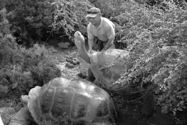 Charles Darwin Research Station (11)